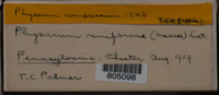 Image Associated With the Occurence